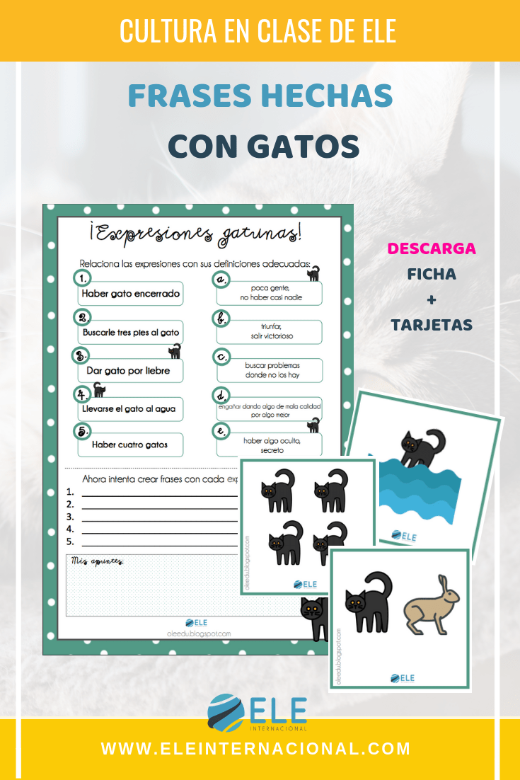 Frases hechas con gatos en español para clases de ELE. #vocabulary #spanishteacher