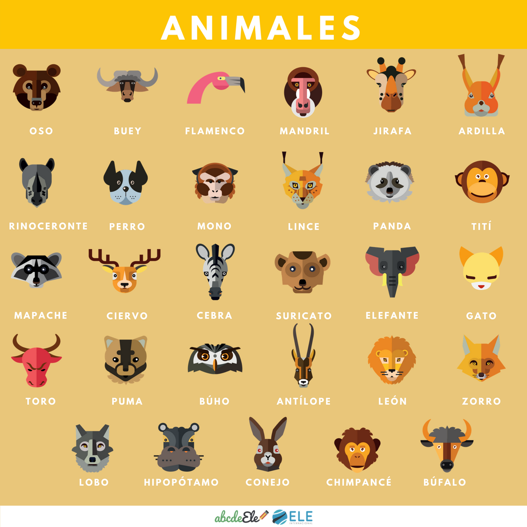 Pósteres vocabulario clase de ELE. Animales clase de ELE. Spanish animals. #profedeele #spanishlesson Resources Pósteres vocabulario clase de ELE. Animales clase de ELE. Spanish animals.