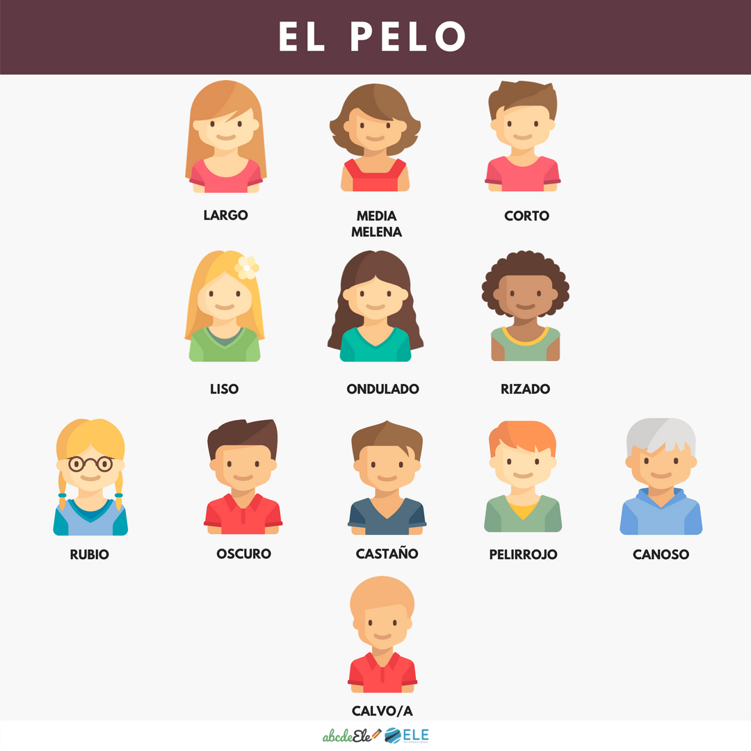 Pósteres vocabulario clase de ELE. Vocabulario descripción física clase de ELE. Spanish physical description vocabulary. #spanishteacher #profedeele Pósteres vocabulario clase de ELE. Vocabulario descripción física clase de ELE. Spanish physical description vocabulary. #spanishteacher #profedeele