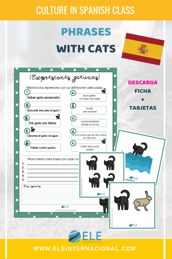 Frases hechas con gatos en español para clases de ELE. #vocabulary #spanishteacher