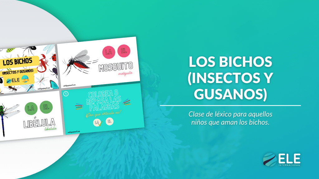 Los insectos en español